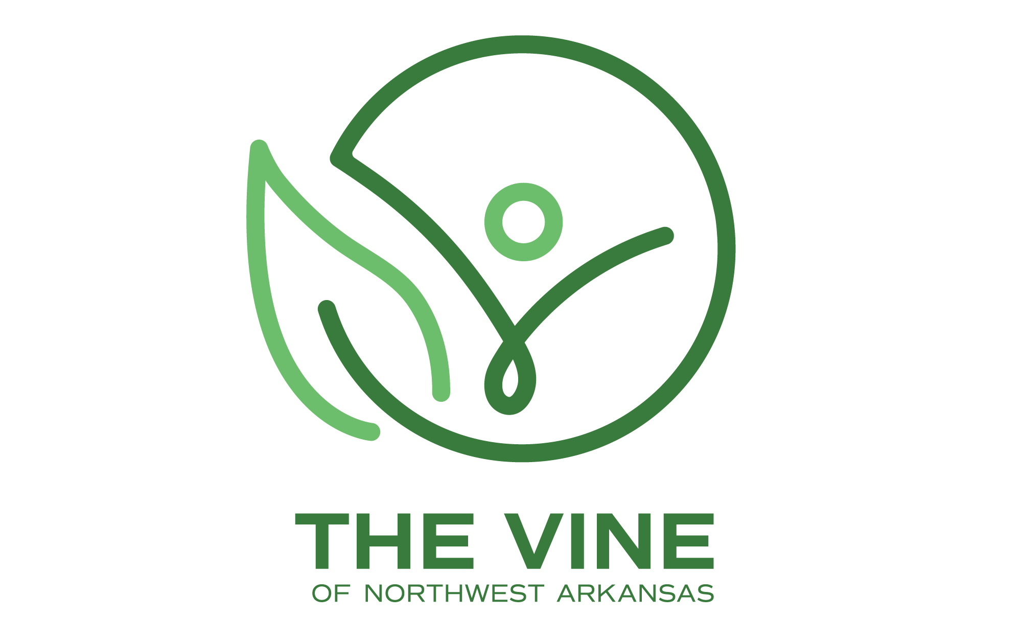 the vine